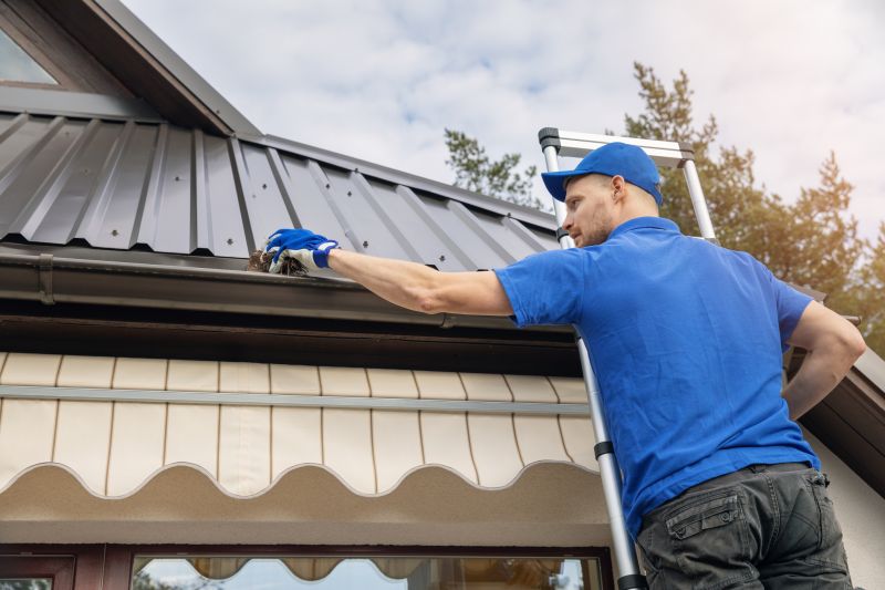 Experienced Gutter Technicians