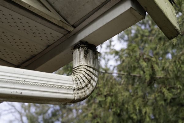 Cost of Roof Drain Replacement in Galveston